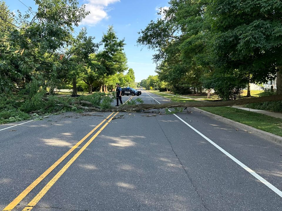 Robbinsville Roadway Cleared After Tree Fall