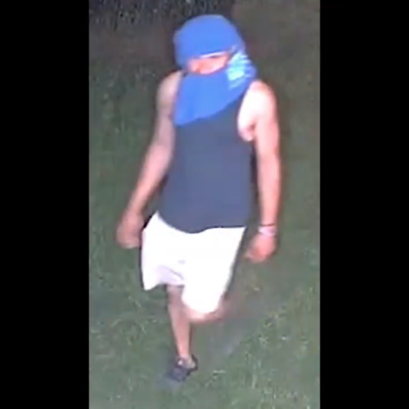 Security footage shows suspects in d. C. Home burglary - photo licensed by shore news network.