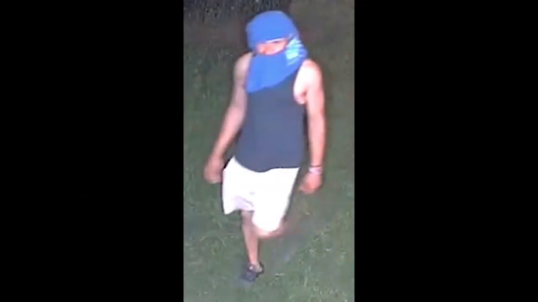 Security footage shows suspects in d. C. Home burglary - photo licensed by shore news network.