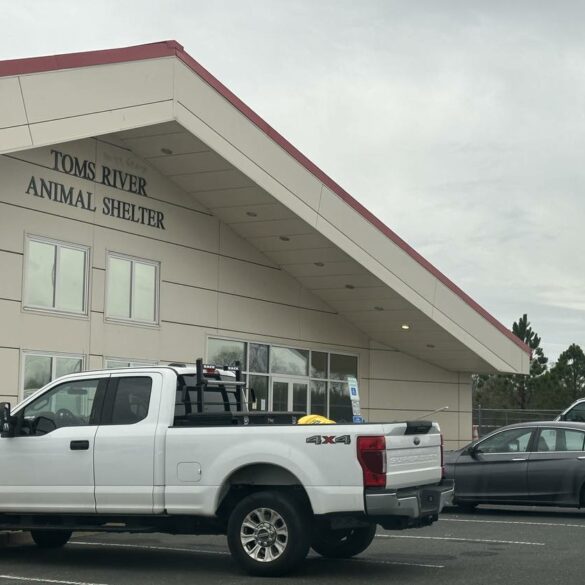 Toms river mayor says troubled animal shelter will be in better hands at county level - photo licensed by shore news network.