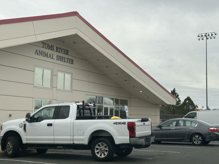 Toms river mayor says troubled animal shelter will be in better hands at county level - photo licensed by shore news network.