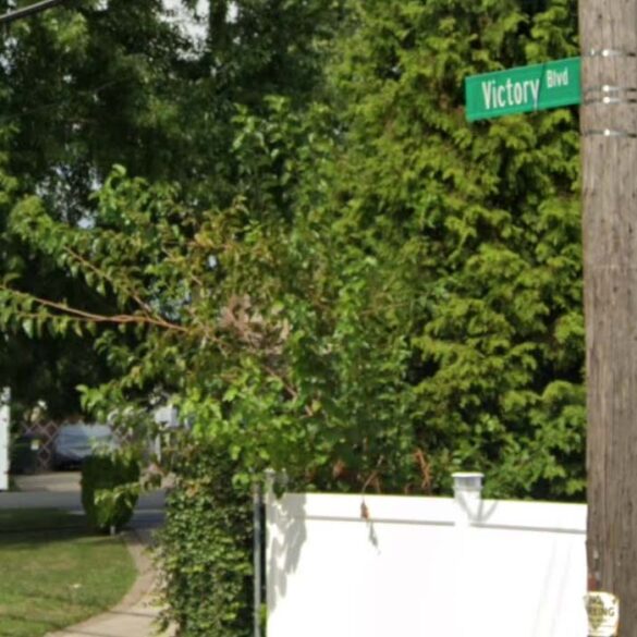 Motorcyclist critically injured in hit-and-run on victory boulevard - photo licensed by shore news network.