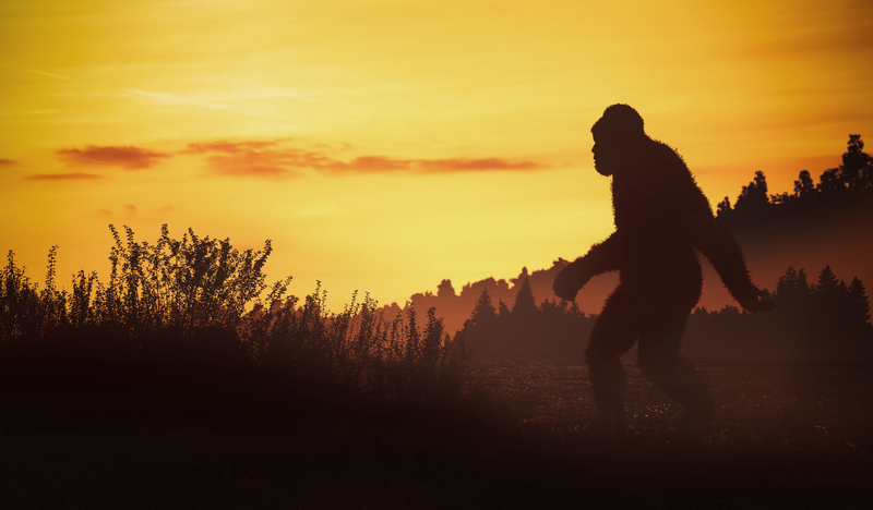 Oklahoma Man Sentenced to Life Without Parole for Murder Blamed on Bigfoot