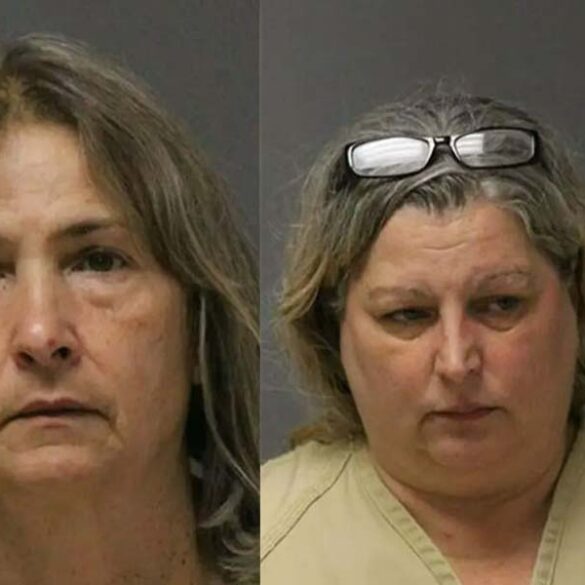 New jersey animal hoarders plead guilty after 172 dogs found in deplorable conditions - photo licensed by shore news network.