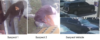 Police seek suspects in daylight theft from delivery truck in d. C.