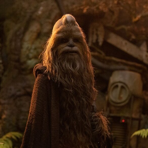 Disney's the acolyte gets mixed reception under new inclusive and 'woke' storyline - photo licensed by shore news network.