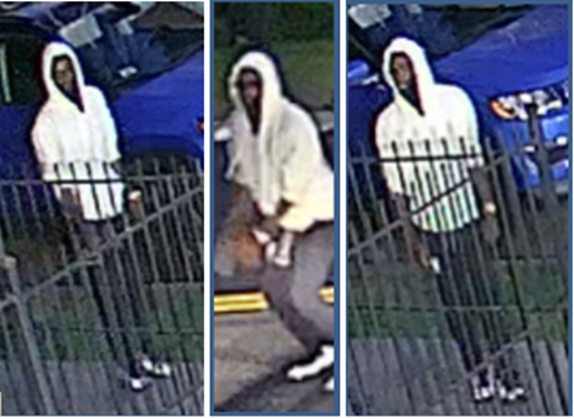 Man Shot Multiple Times in D.C., Suspect Captured On Camera Man Shot Multiple Times in D.C., Suspect Captured On Camera