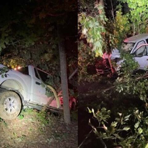 Drunk driver loses control, crashes into tree in quantico - photo licensed by shore news network.