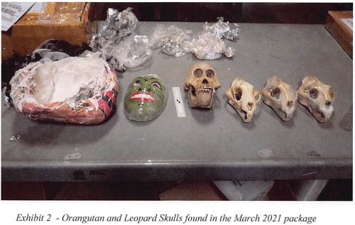 Massachusetts Man Charged with Trafficking Endangered Wildlife Parts