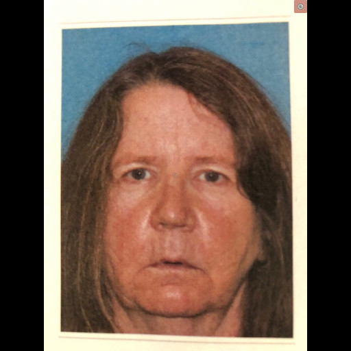 Urgent Search for Missing Adult in Warminster
