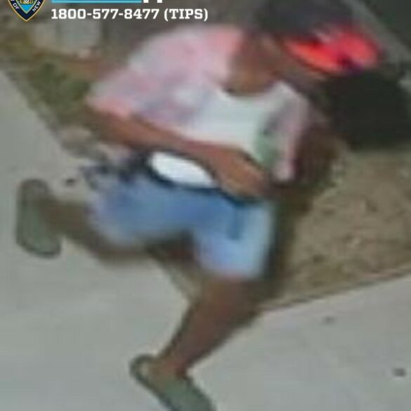 Carjacking incident on burke avenue in the bronx - photo licensed by shore news network.