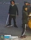Nypd investigating armed robbery on clay avenue