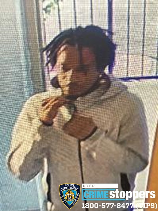 Police Seek Suspects in Robbery of 16-Year-Old Motorcyclist in Crotona Park Police Seek Suspects in Robbery of 16-Year-Old Motorcyclist in Crotona Park