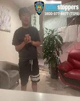Attempted Robbery Reported in Flushing