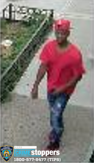 NYC Bus Driver Attacked in the Bronx