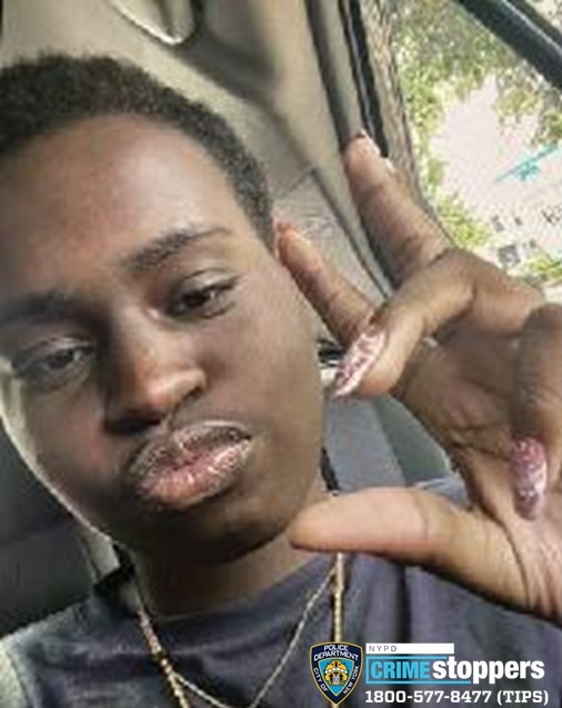 NYC Police Seek Help in Locating Missing Teenager Zaire Robinson