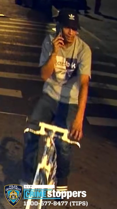 NYPD Seeks Public Assistance in Identifying Grand Larceny Suspect