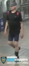 Nypd seeks subway perv for lewd act aboard the r train