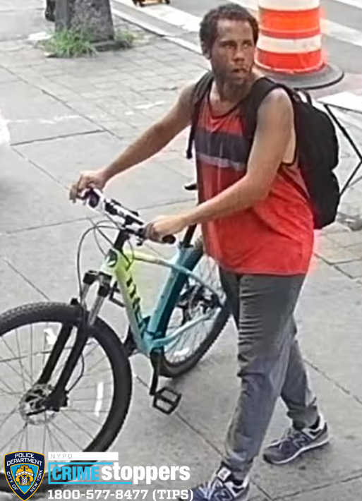 Teenager Robbed of Necklace on West Fordham Road