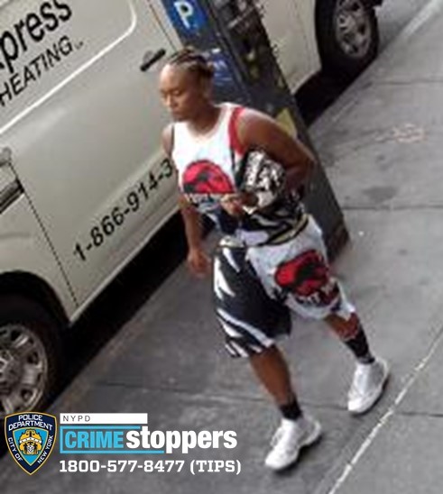 Elderly Woman Assaulted in Manhattan