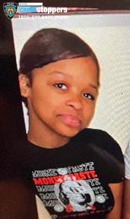 Public's Help Sought in Search for Missing Bronx Teenager
