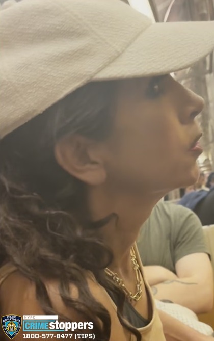 Woman Assaulted in Suspected Hate Crime on Q Train Woman Assaulted in Suspected Hate Crime on Q Train