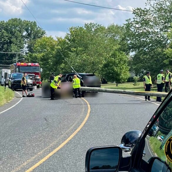 Telephone pole snapped in gloucester crash - photo licensed by shore news network.