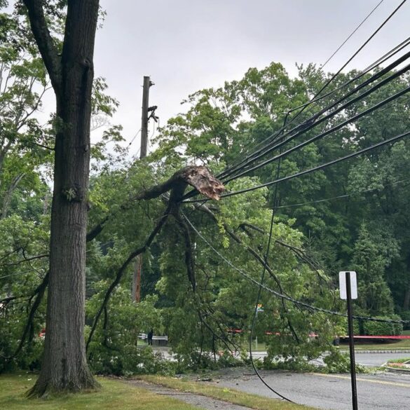 Road closure on grandview avenue due to fallen tree and power lines - photo licensed by shore news network.