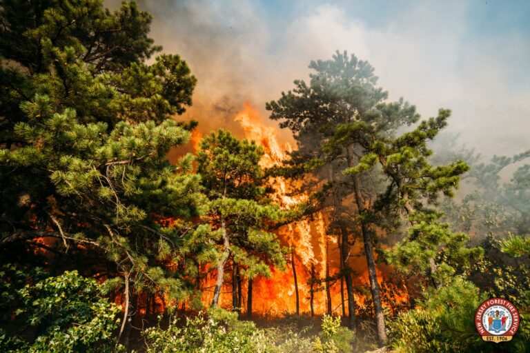 Rain helps firefighters at 1,000 acre new jersey forest fire - photo licensed by shore news network.
