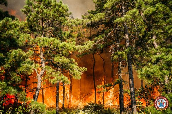 Rain Helps Firefighters At 1,000 Acre New Jersey Forest Fire Rain Helps Firefighters At 1,000 Acre New Jersey Forest Fire
