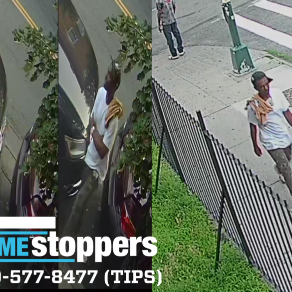 Early morning shooting on nostrand avenue; suspect at large - photo licensed by shore news network.