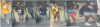 Assault and attempted robbery suspects caugh on camera in d. C.