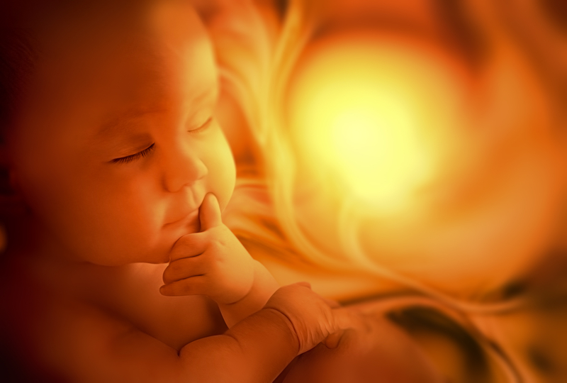 Murphy Celebrates New Jersey As Leader in Abortion Protections