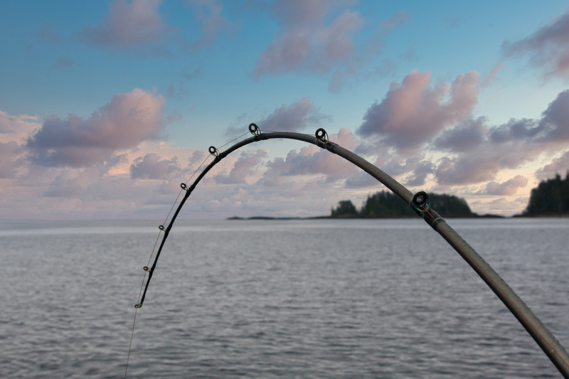 New Jersey Fisherman Pranks Local Media With 135-Pound Tuna Tall Tale