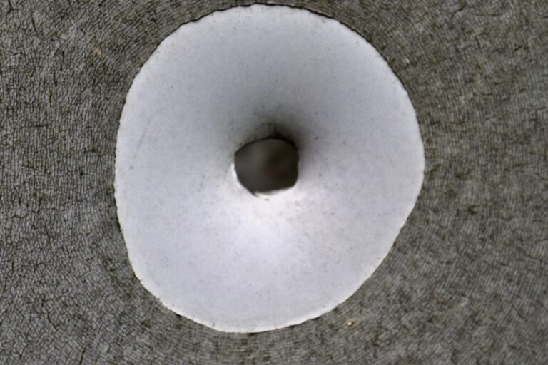 Police investigate shooting damage to vehicle in brooklyn park - photo licensed by shore news network.