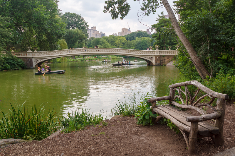 Man Robbed While Sitting on Bench in Central Park