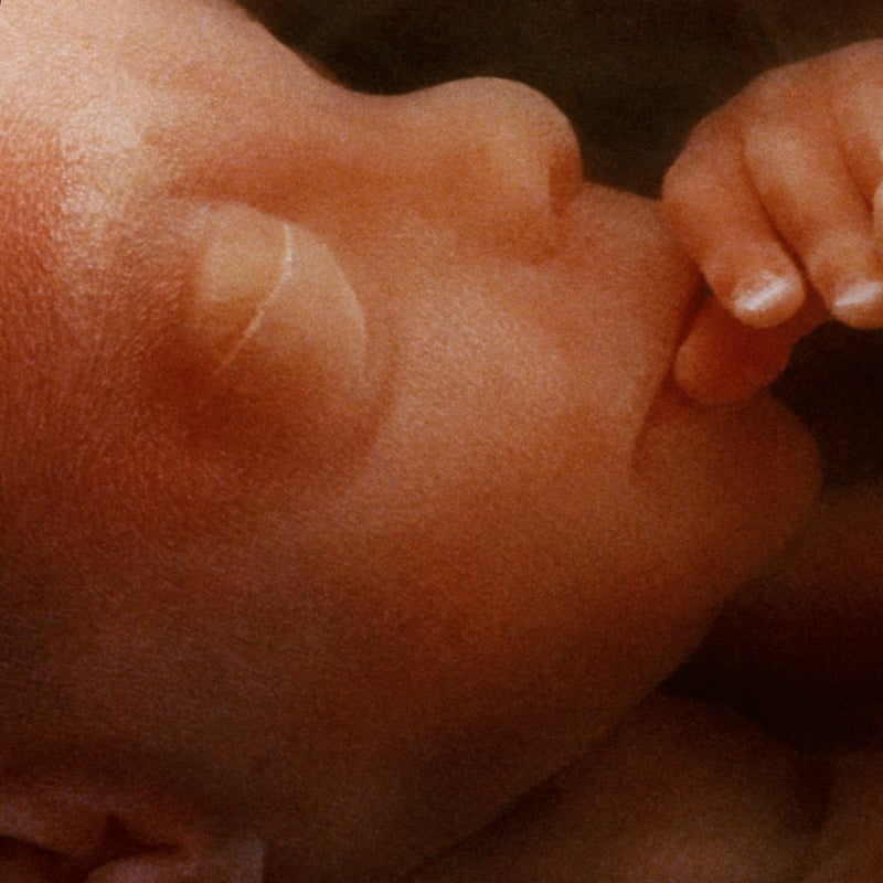 Spadea slammed for 'retreat' on abortion stance as Kranjac calls out GOP rival