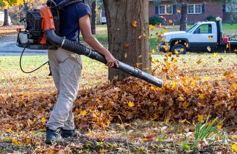 New Jersey Moves Closer to Gas Leaf Blower Ban
