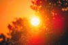 New jersey heatwave going from bad to worse this week