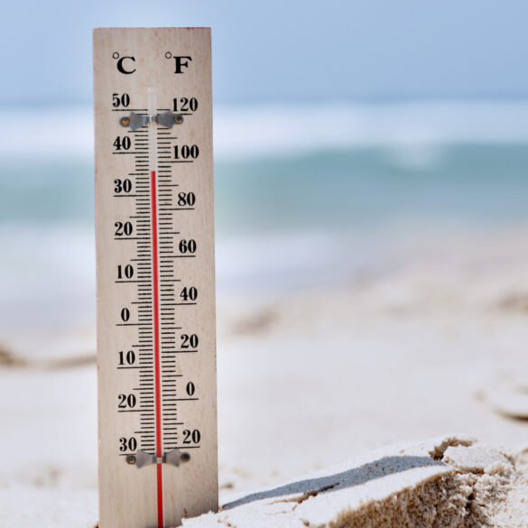 Air quality alert and excessive heat warning issued for the new jersey shore region - photo licensed by shore news network.