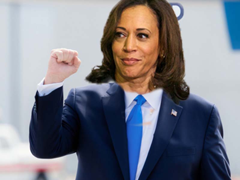 Google Under Fire For Replacing Trump Search Results With Kamala Content