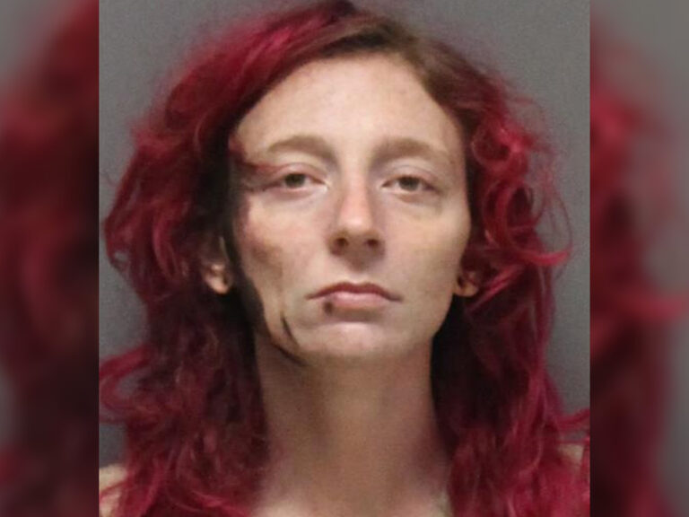 Toms river couple compared to bonnie and clyde after bizarre last stand - photo licensed by shore news network.