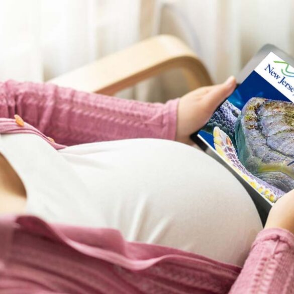 New jersey is quickly becoming an abortion tourism destination - photo licensed by shore news network.