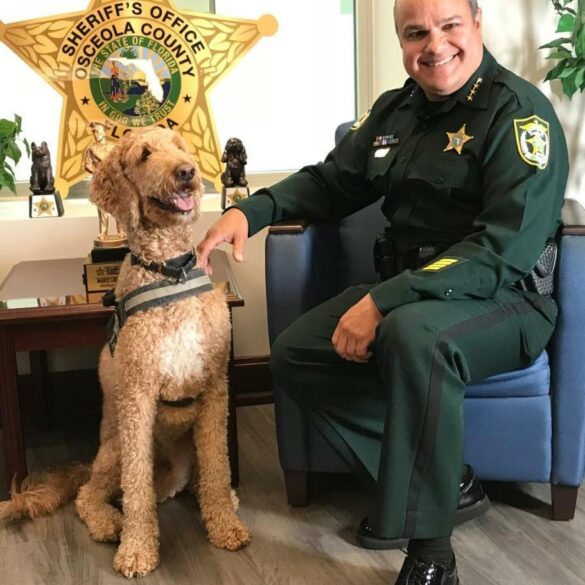 Florida sheriff fined after posting pic of deceased teen girl on instagram - photo licensed by shore news network.