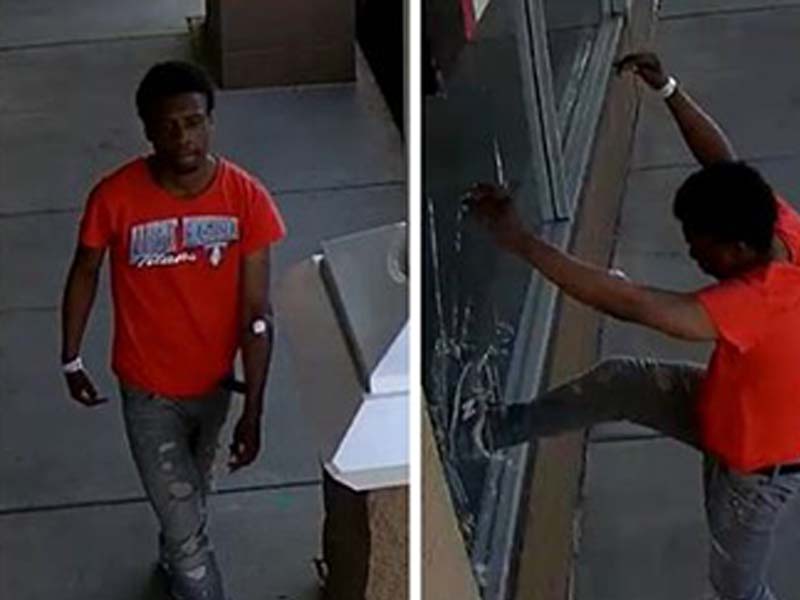 Montgomery County Police Seek Public's Help to Identify Vandalism Suspect