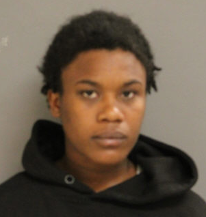 21-Year-Old Woman Charged with Robbery on CTA Train