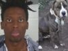 Family dog gave his life to save baby, family from home invader
