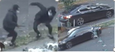 Stolen French Bulldog Reunited with Owner After Armed Robbery Stolen French Bulldog Reunited with Owner After Armed Robbery
