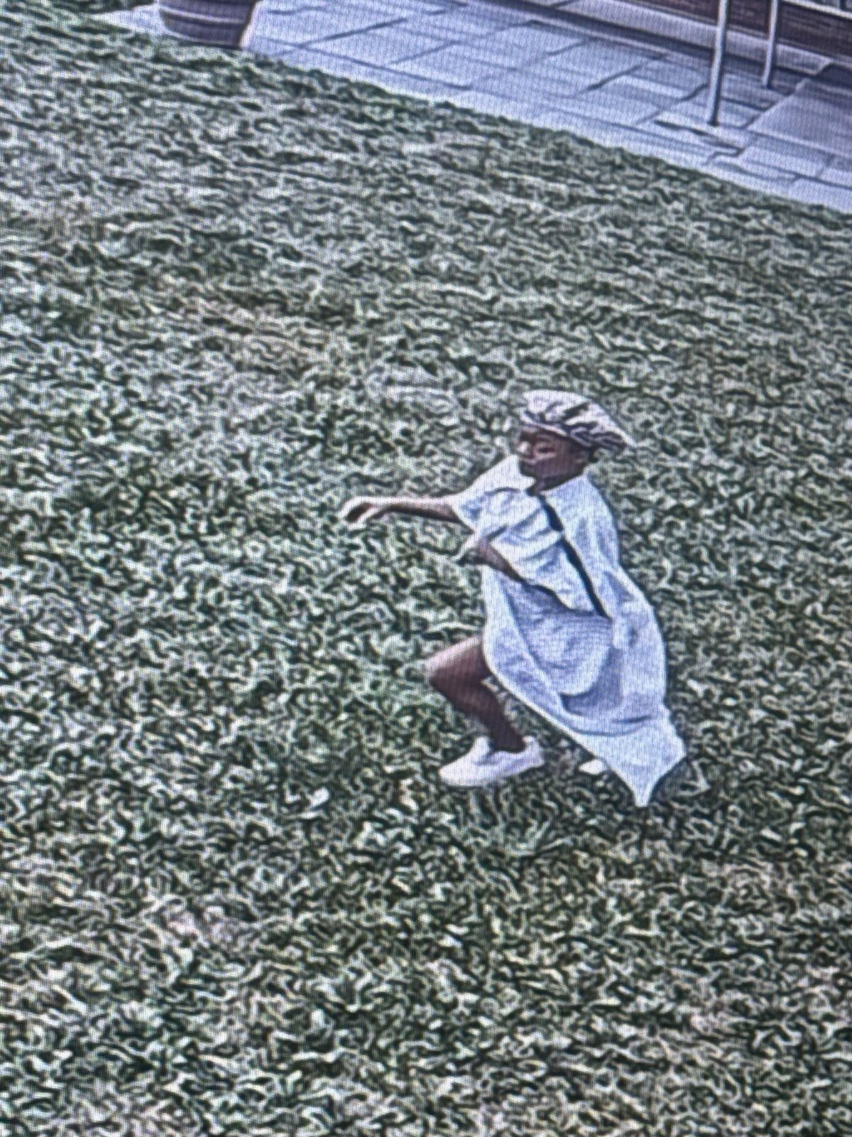 Baltimore Police Searching for Woman Who Fled in Hospital Gown