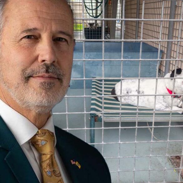 Monmouth spca execs flip out in secretly recorded interview after employee questions euthanization - photo licensed by shore news network.